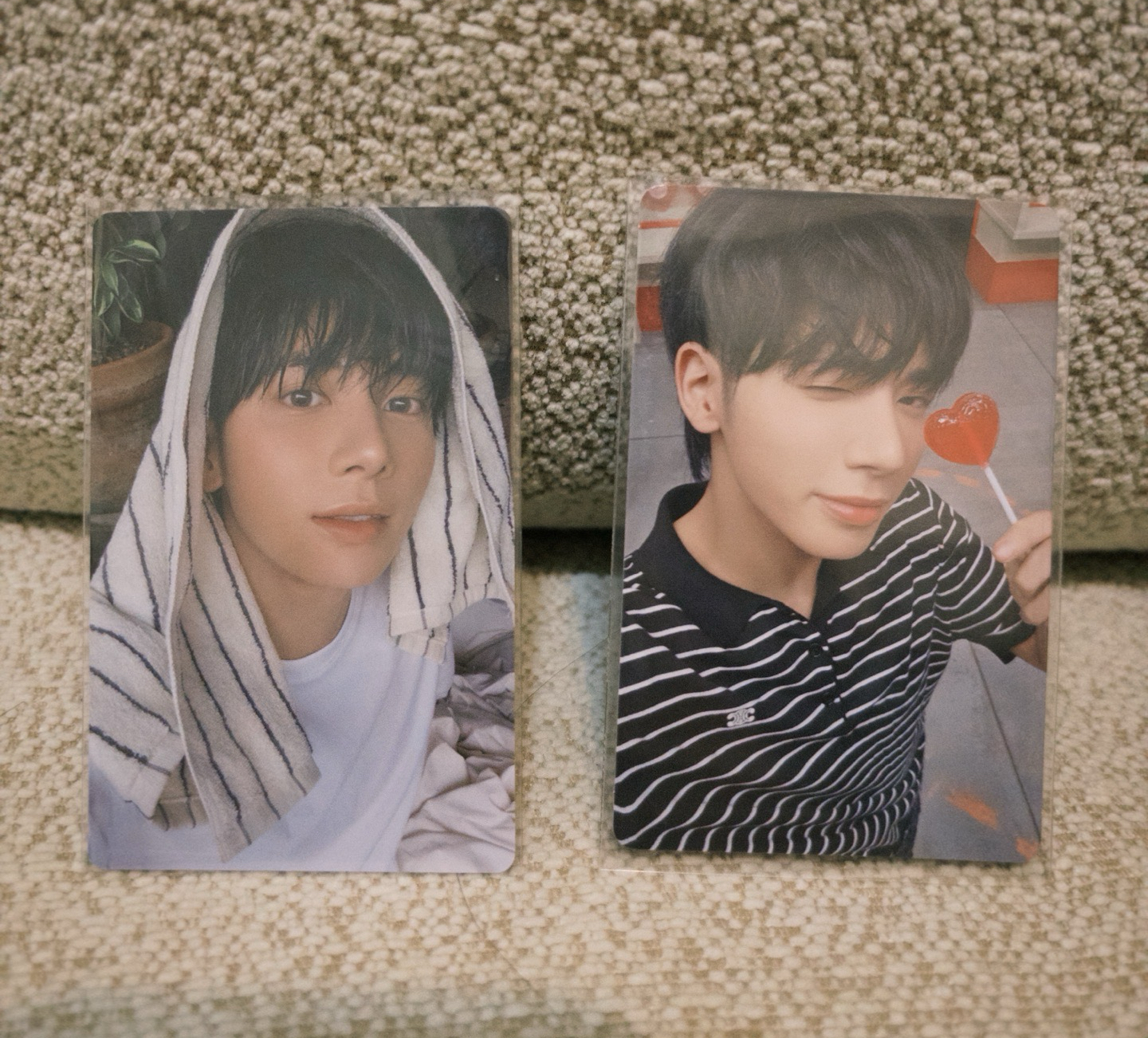 THE STAR CHAPTER：SANCTUARY