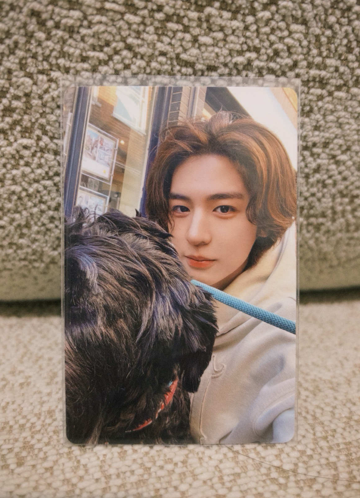 Boynextdoor How? Leehan專卡