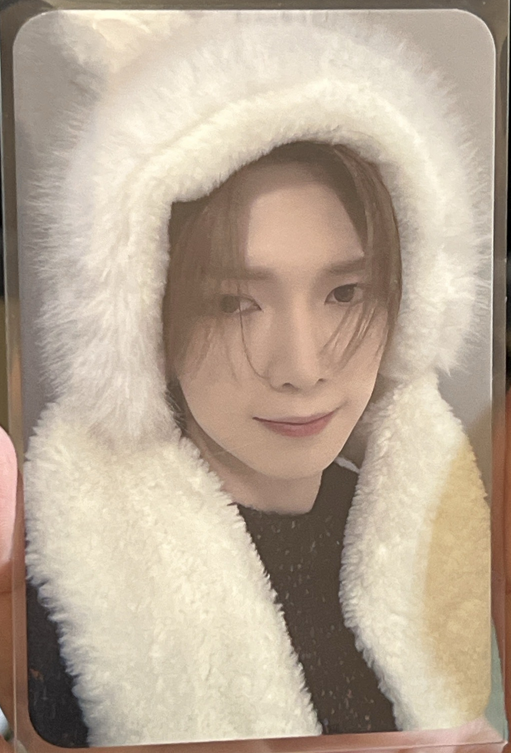 美麗的雪兔呂尚