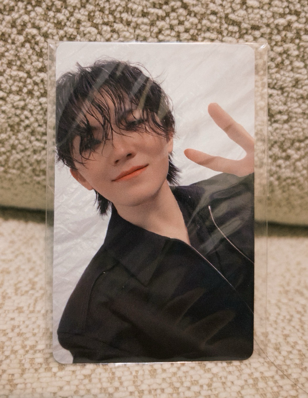 Seventeen FML Weverse 特典卡 Woozi