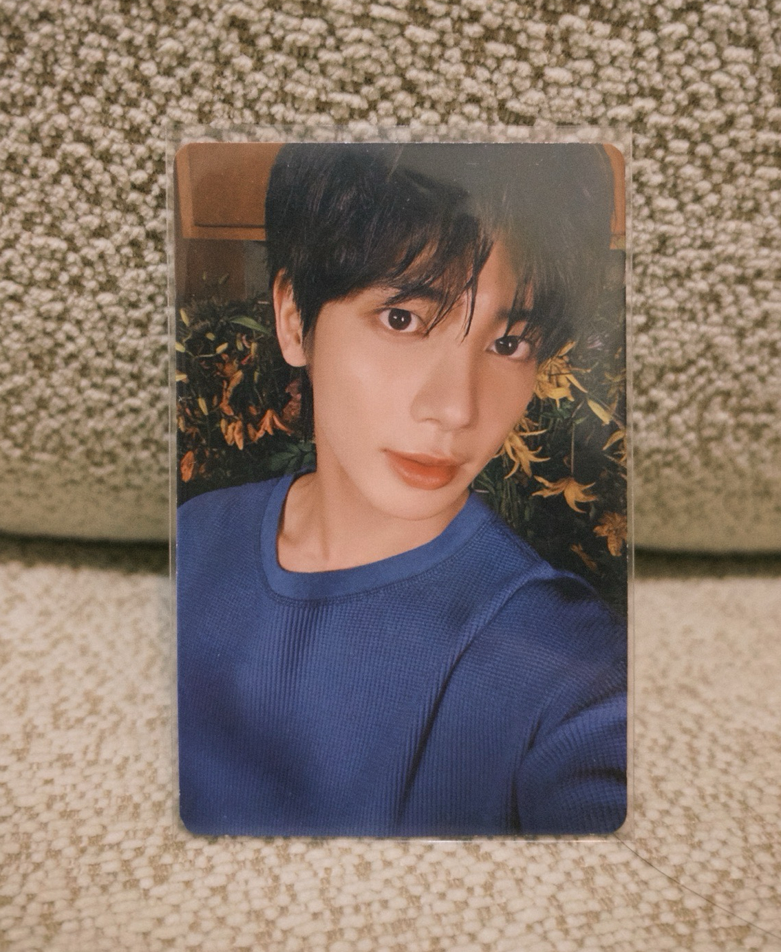 TXT THE STAR CHAPTER ：SANCTUARY