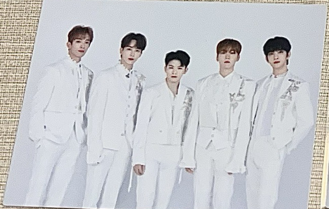 蛋巡主唱分隊卡（無閃）