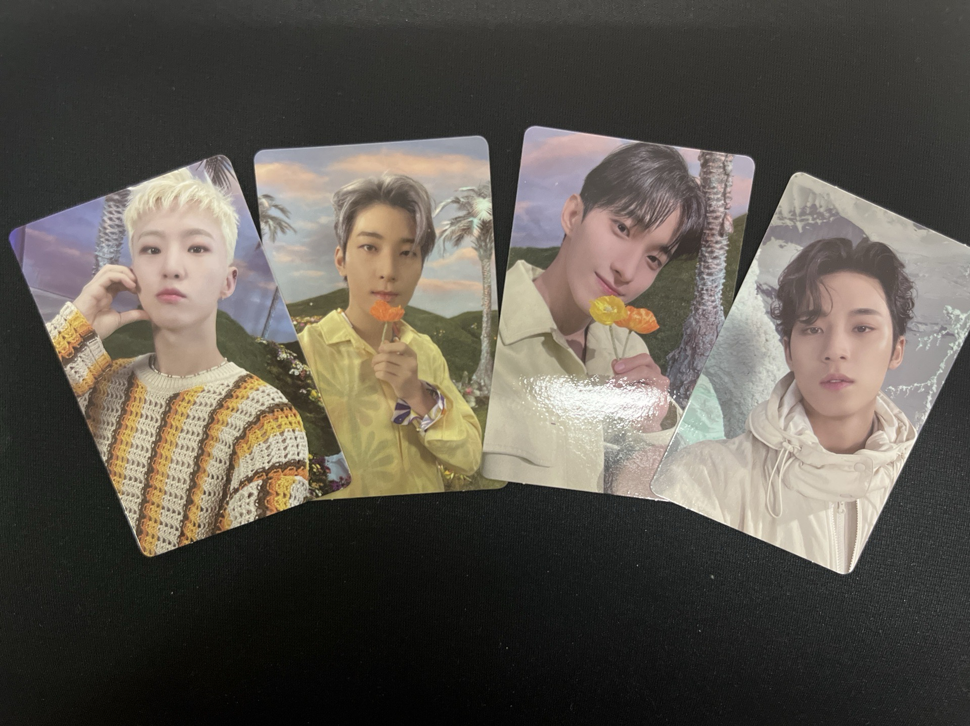 榮圓碩奎 Sector17 小卡