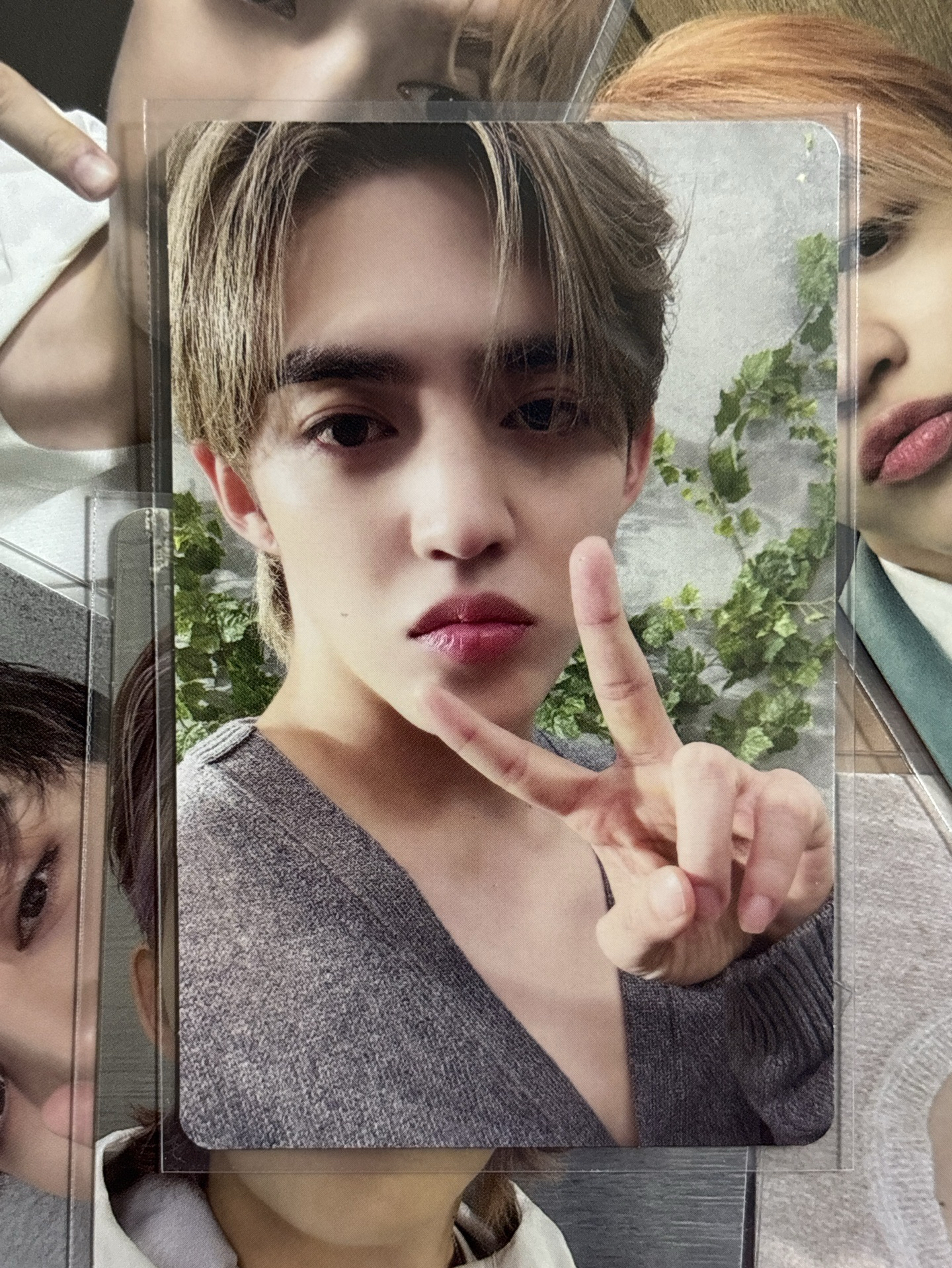 哲 消費期限通常盤