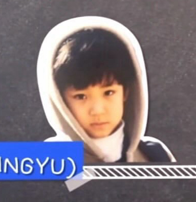 ㅣ新的硬卡套ㅣ