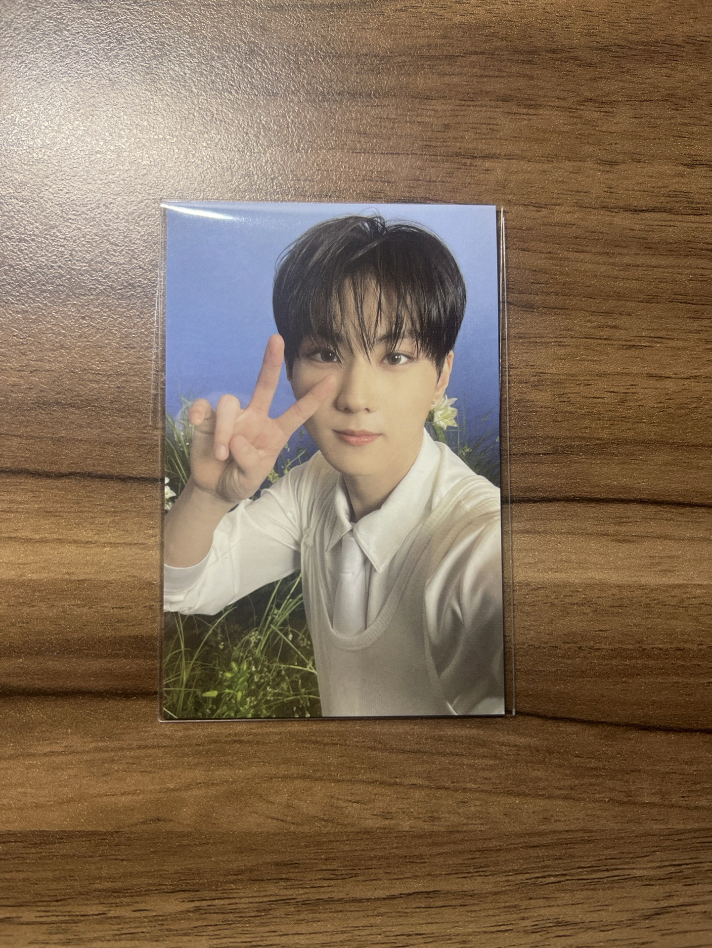 WTL FINAL JUNGWON 禎元 WVS 滿額卡