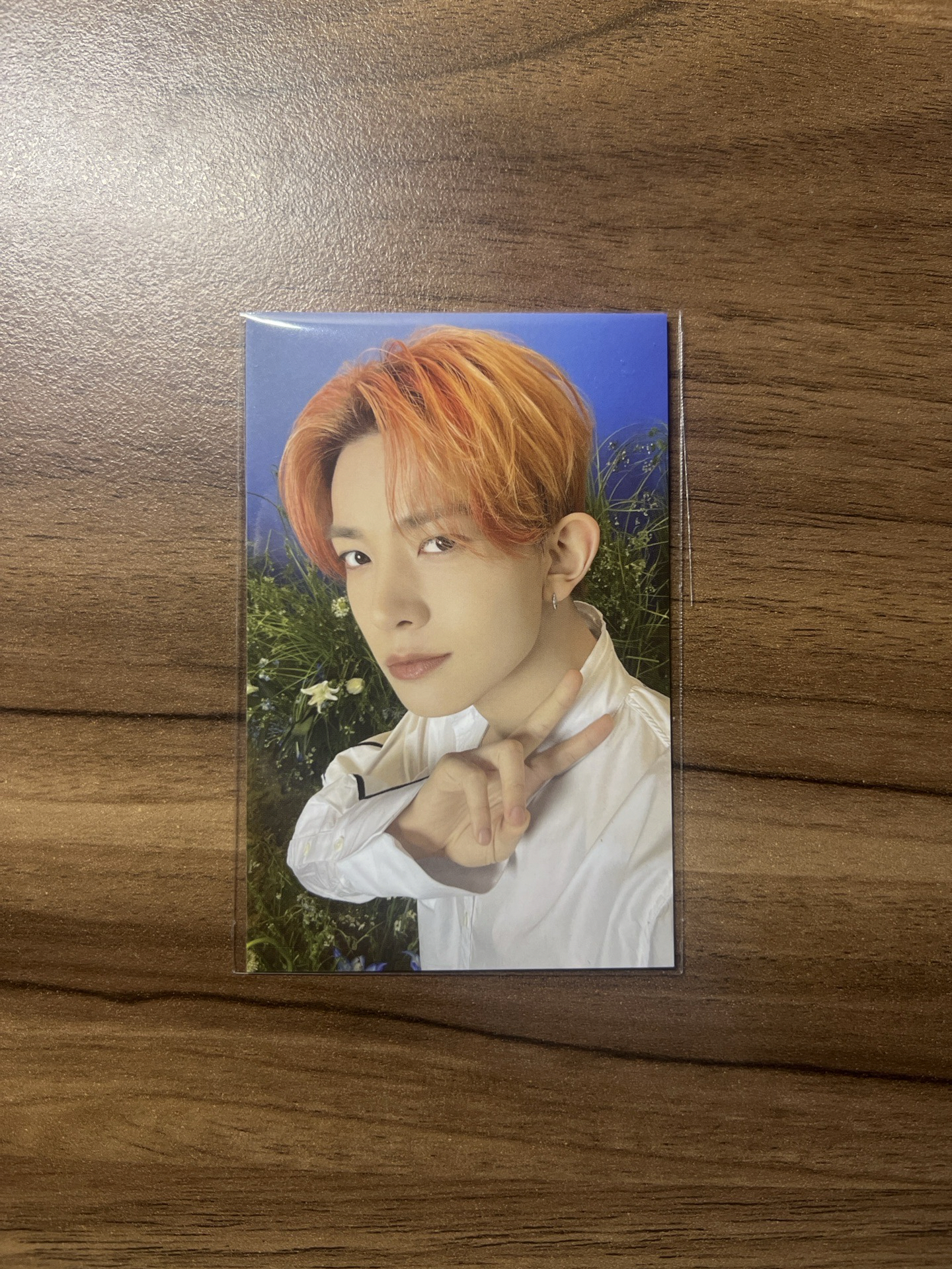 WTL FINAL HEESEUNG 羲承 WVS 滿額卡