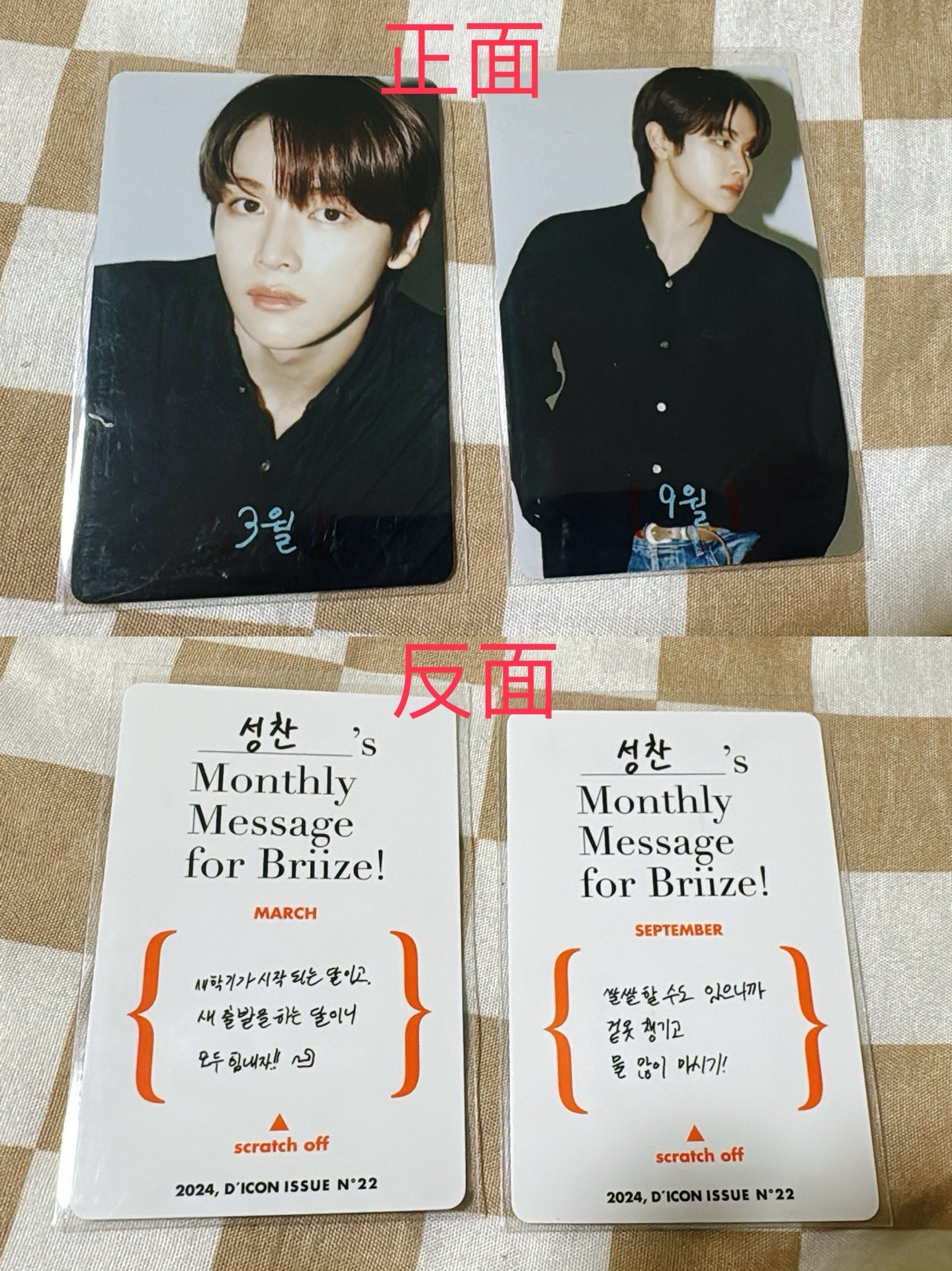 成燦D社雜誌卡
