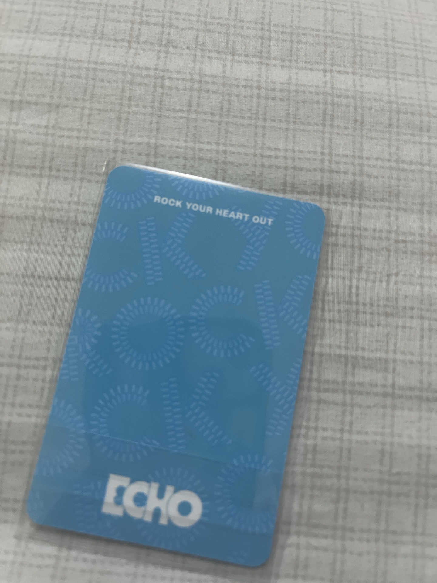 Jin Echo I版 專輯卡  珍