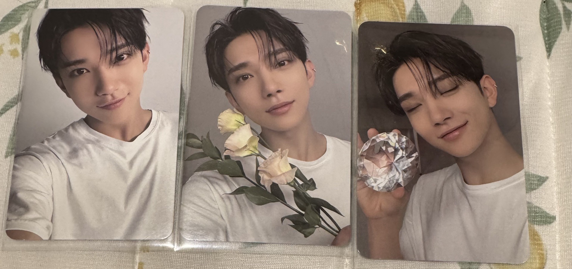 精選專親愛盤 Joshua