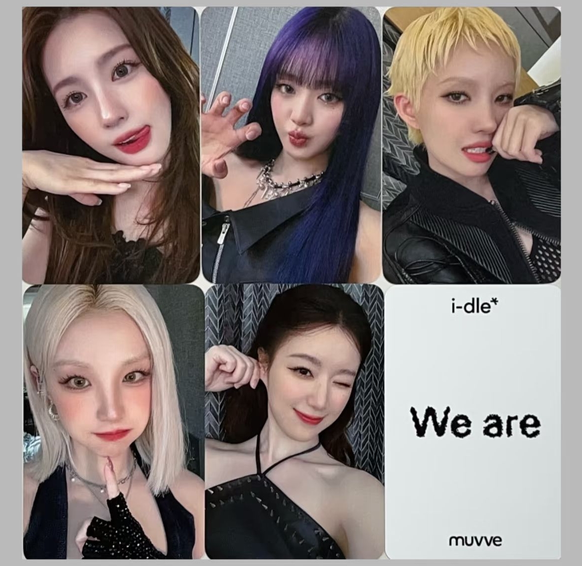 muvve6.0 卡/拍皆有 🐟麵娟