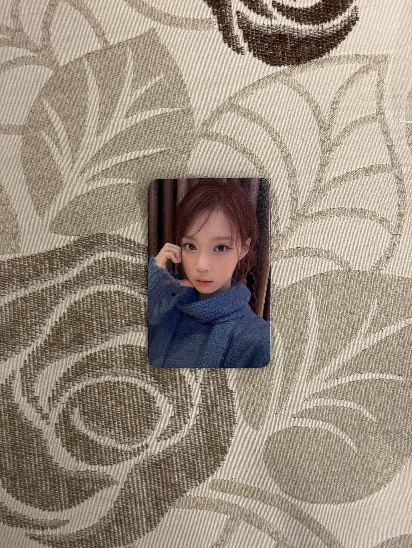 Drama/am預售特典/藍莓冬