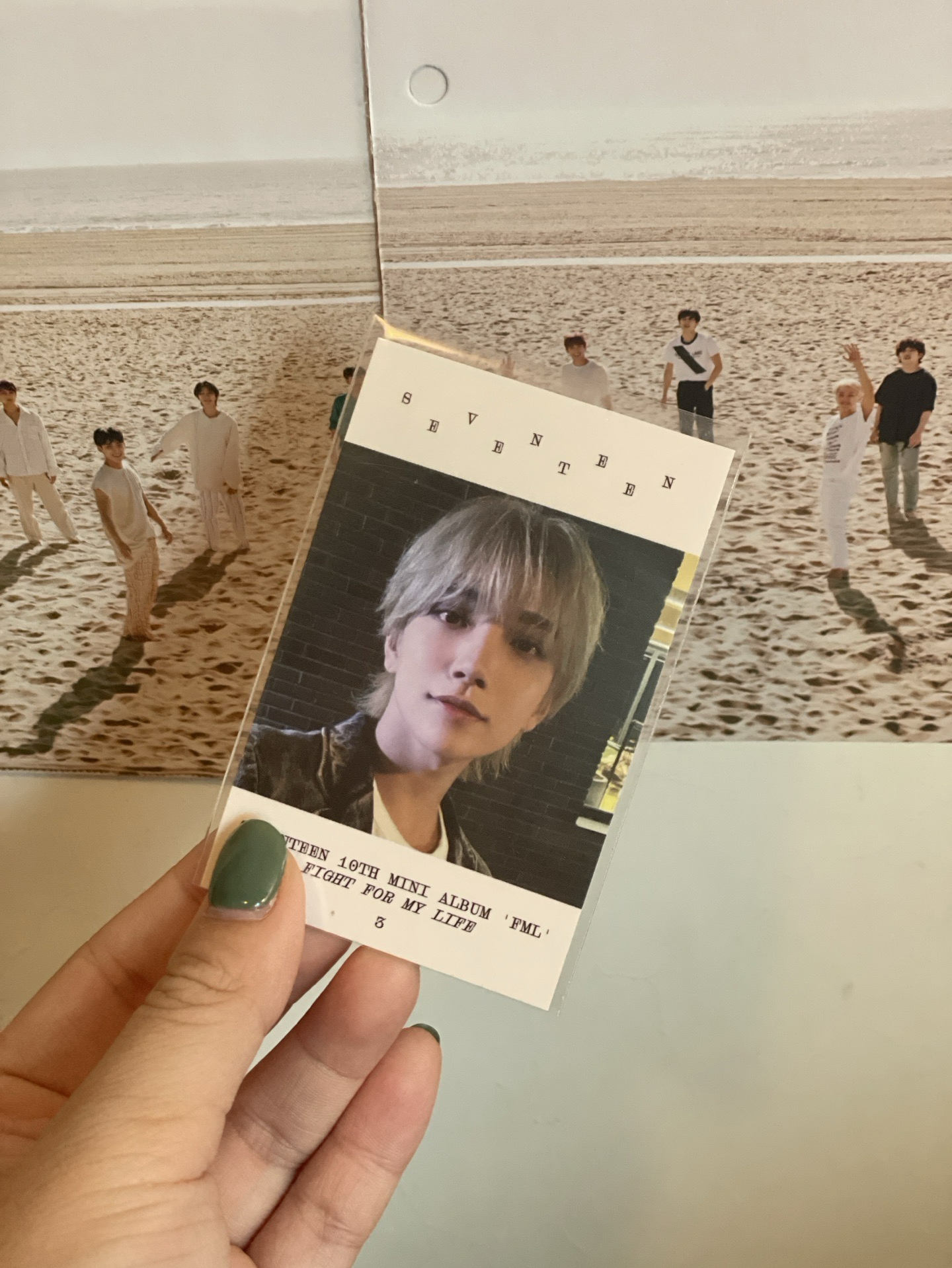 💎SEVENTEEN MINI10 預售 秀