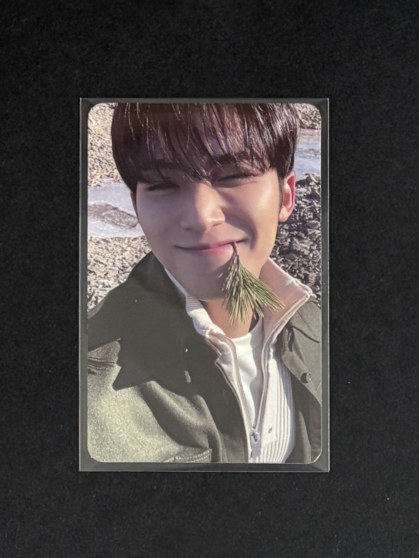 Mingyu 正規四專卡 咬草奎 