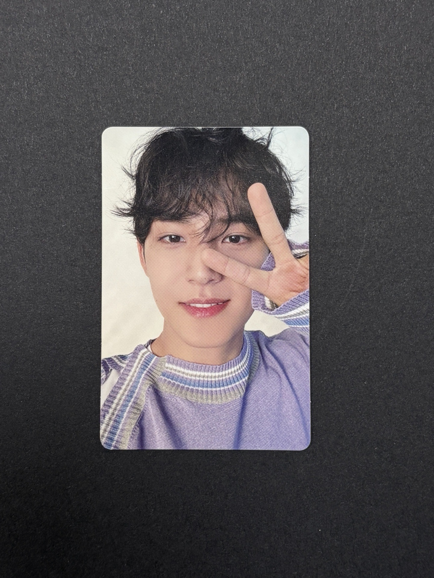 日專克拉盤紫衣奎