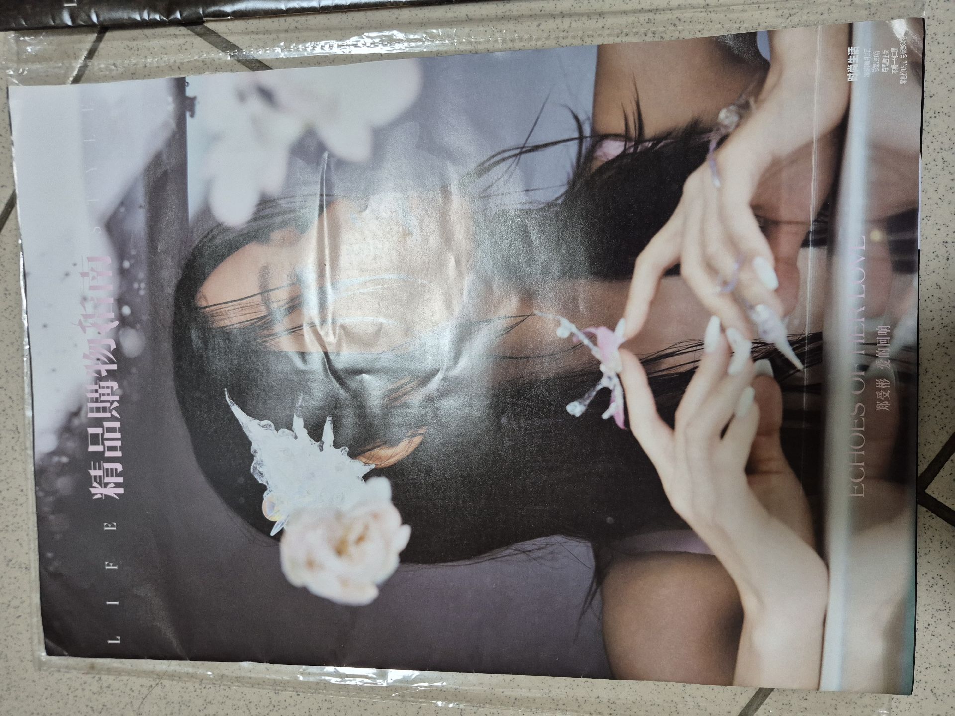 鄭受彬精品雜誌C套