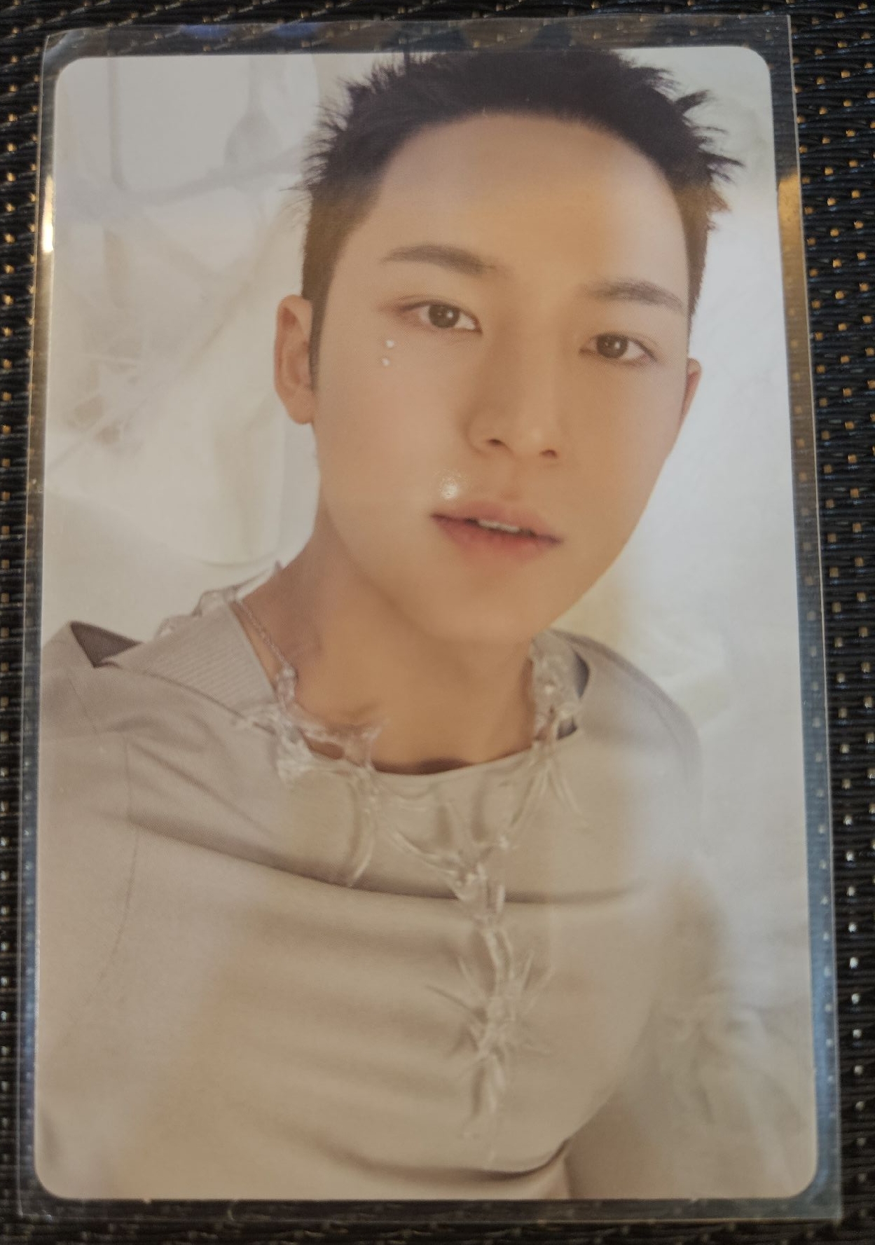 正規五 奎 淺綠版專卡