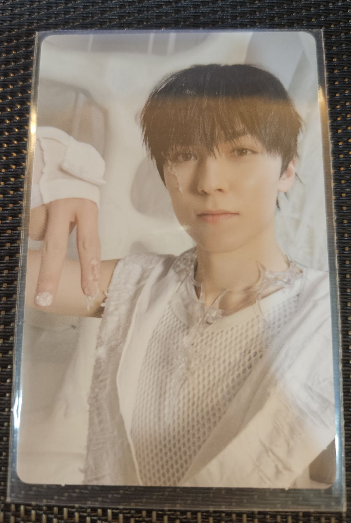 正規五 率 淺綠版專卡