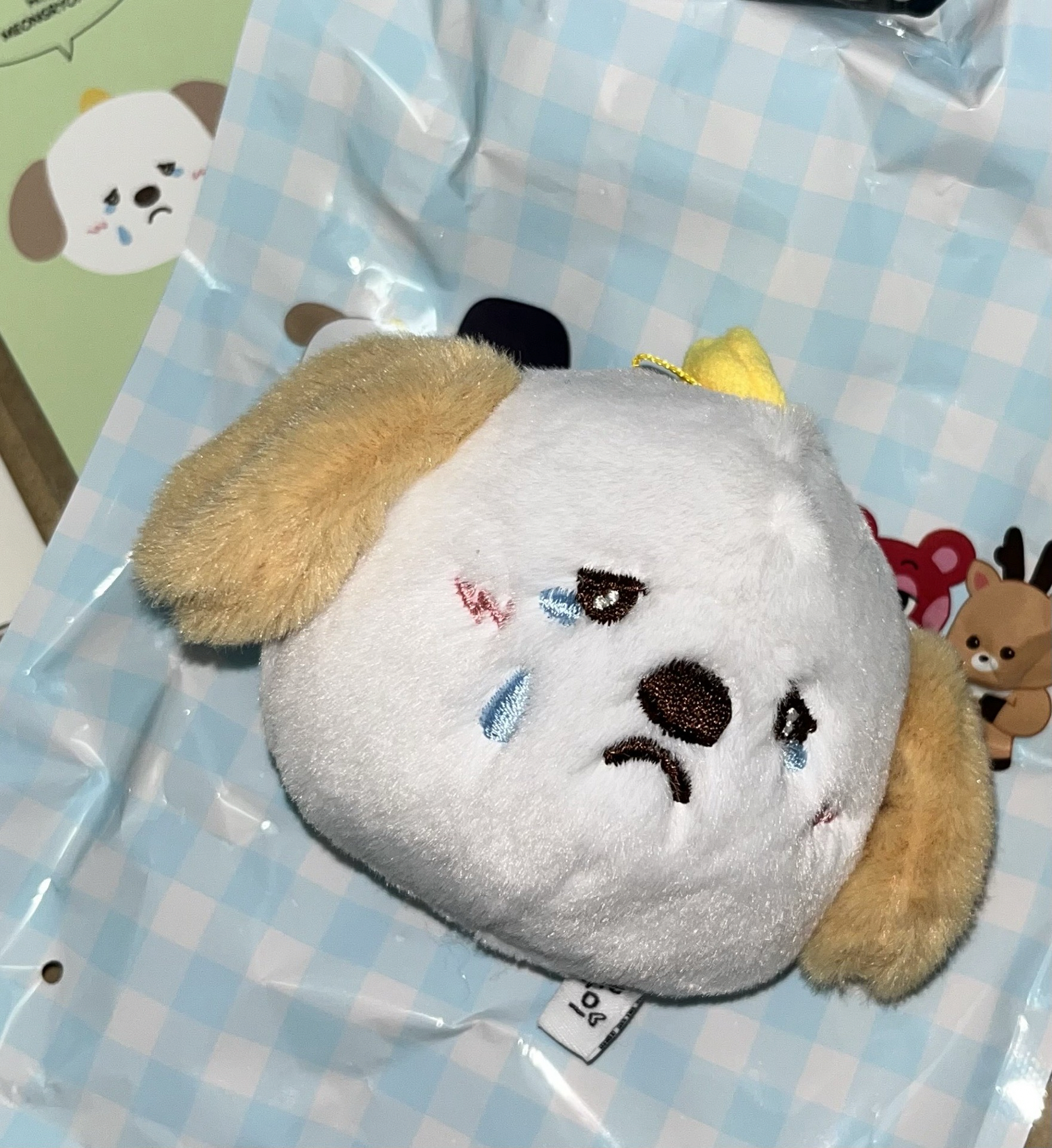 RIIZE 上海快閃盲盒-狗龍不嘻嘻