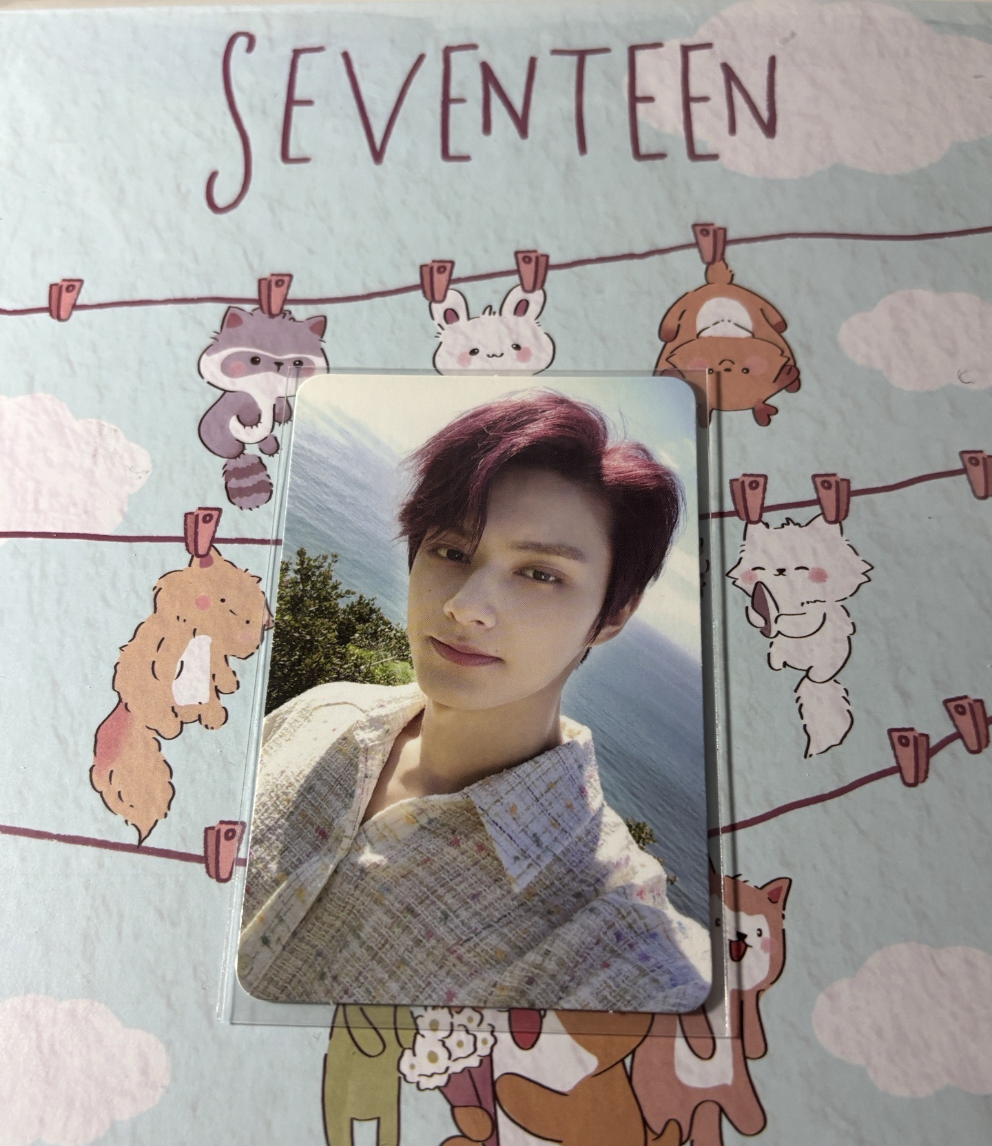 🤍迷七 MINI7 專卡 DUL ver. 俊🐱