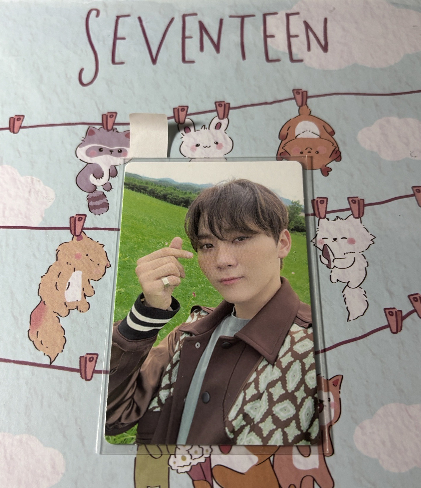 正三 專卡 HOPE 綠版 寛🍊