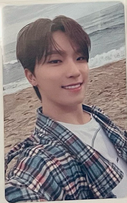 消費期限 wvs 愛知 場限卡 燦