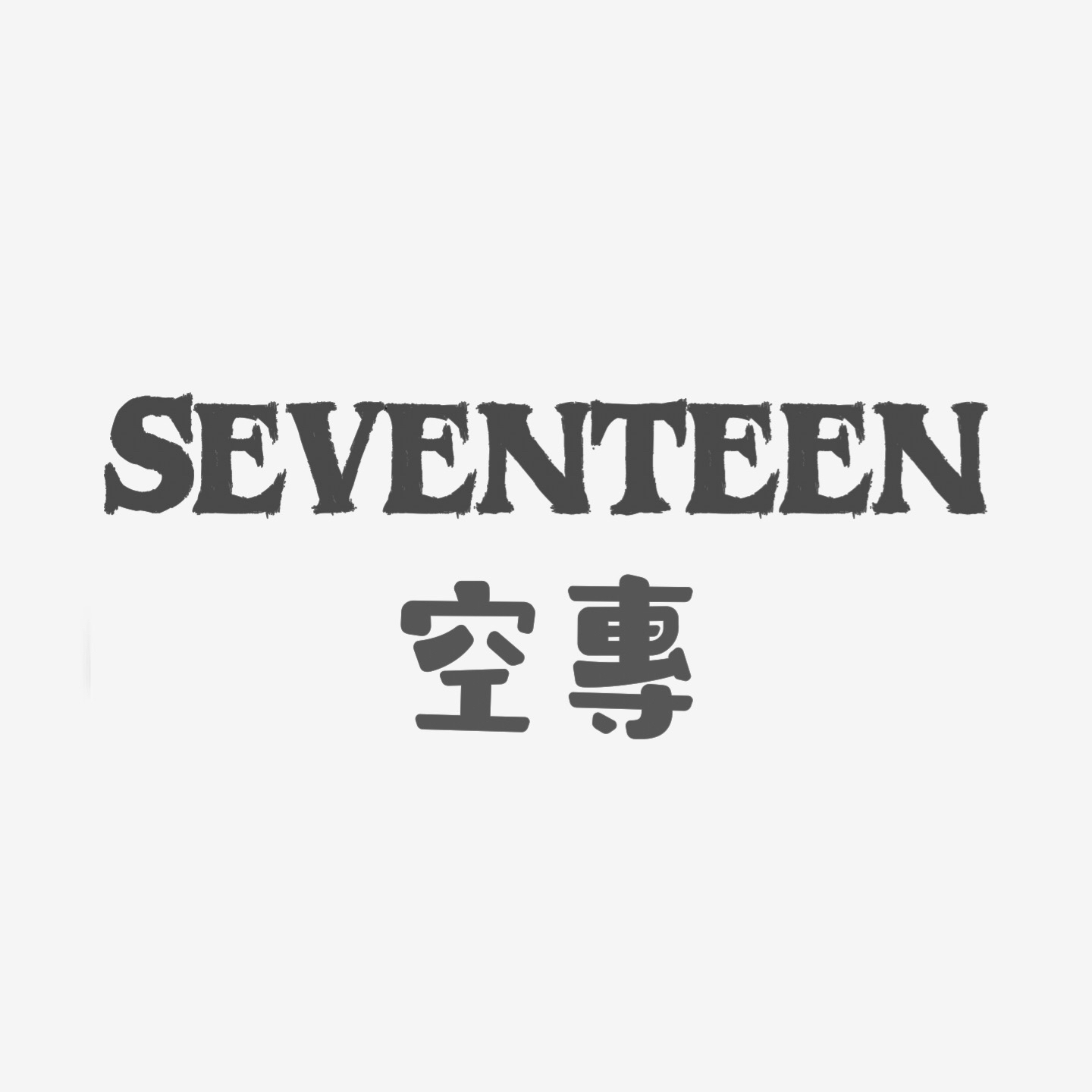 🥨 SEVENTEEN 空專