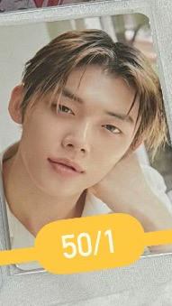 50/1中