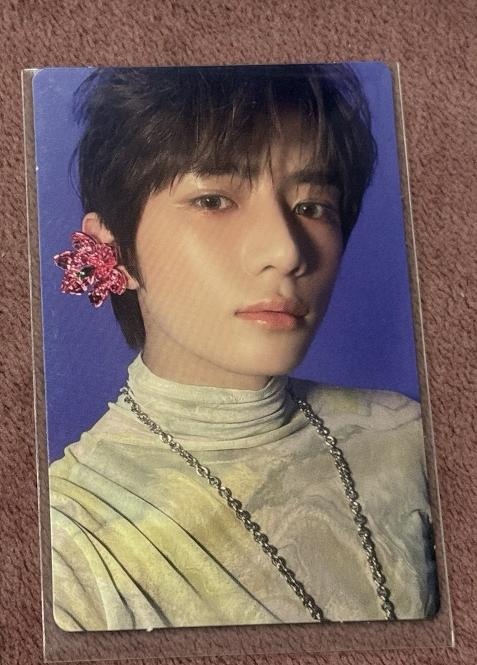 迷五 lullaby 單封圭