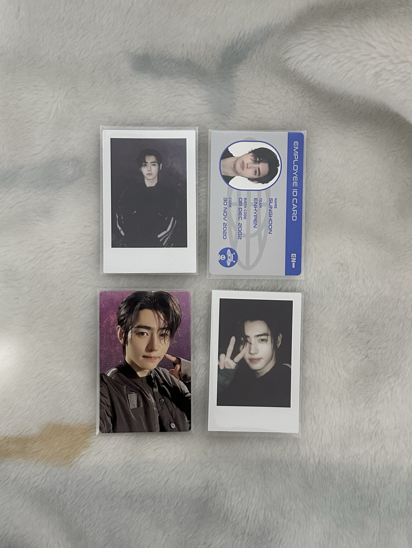 成訓 2024咕咕盒