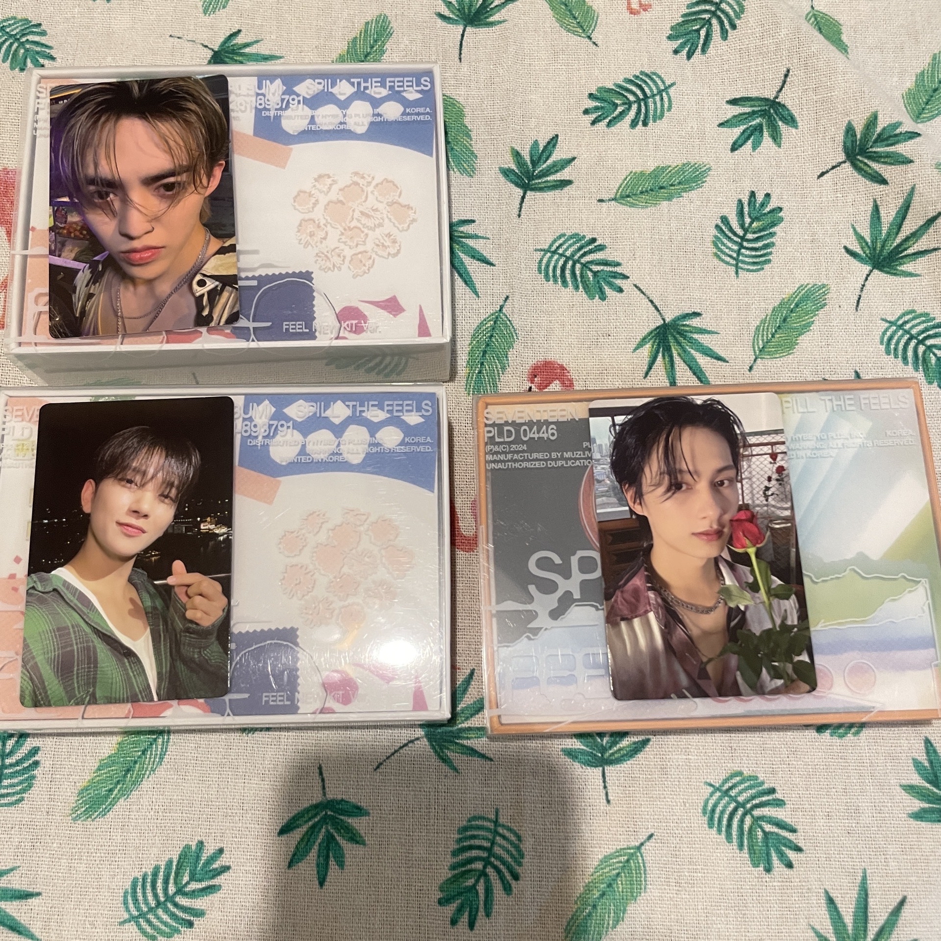 迷12 KIT 全專 哲秀俊