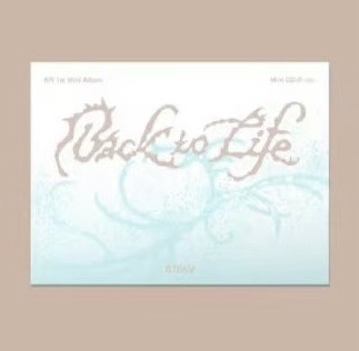 &TEAM MI-NI CD電子專空專