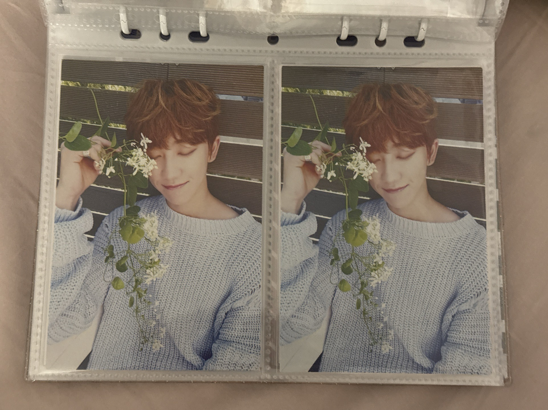 正二 clap 打歌明信片八