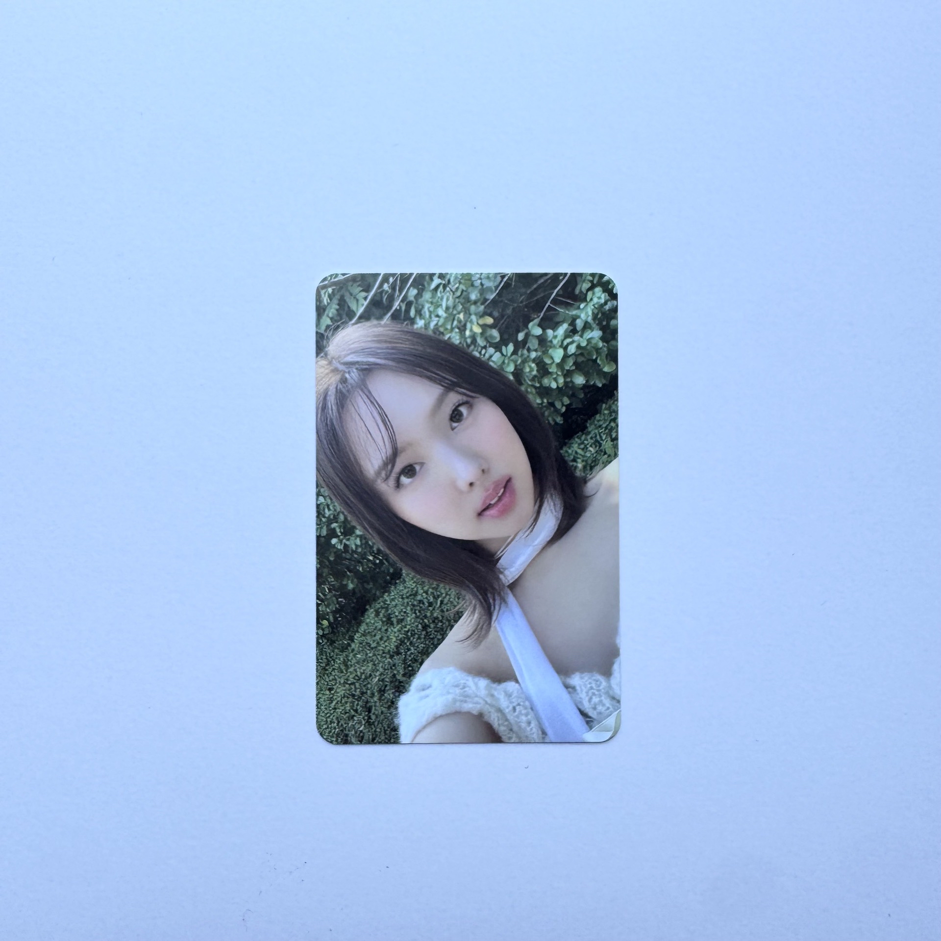 WITH YOU-th專卡娜璉