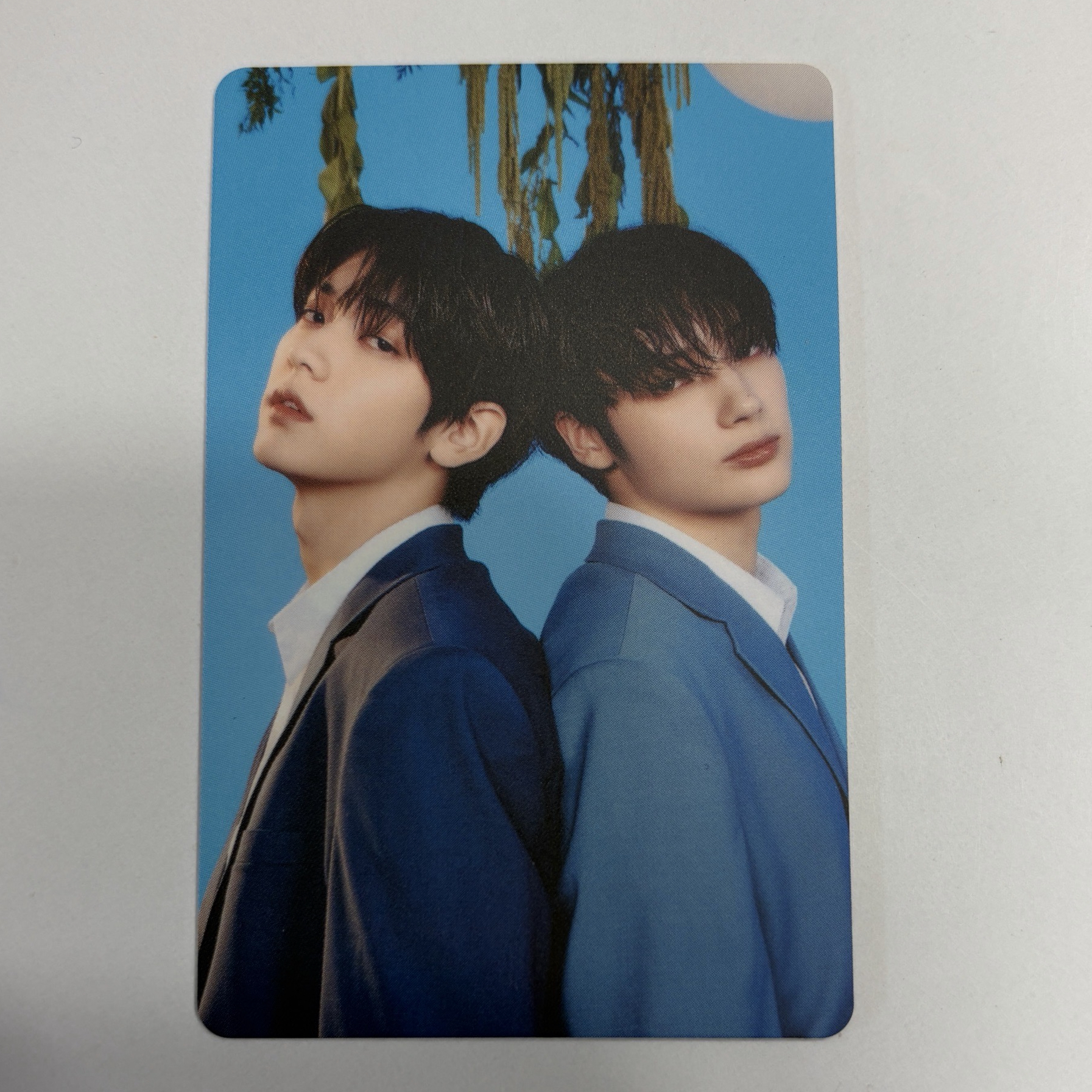 口香糖z Promise EP.2演唱會隨機卡