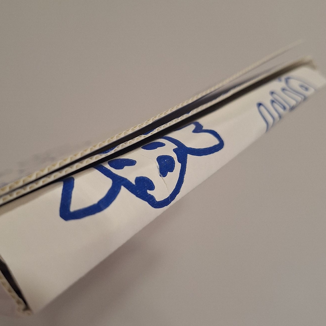 NewJeans｜MINJI｜New Jeans bluebook