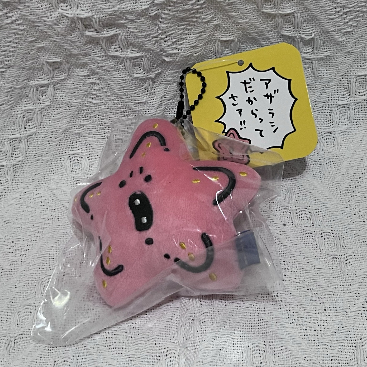 nagano水族館系列 海星