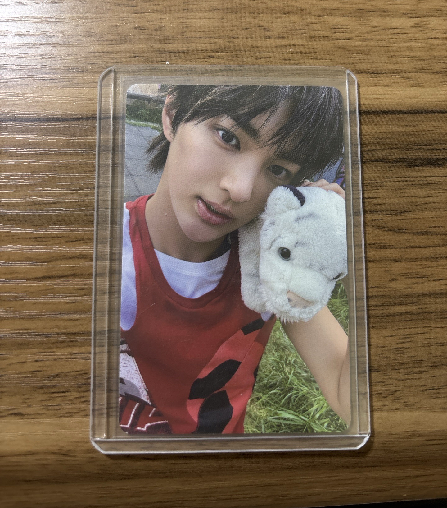 KEONHO 安乾鎬 電子專B ver. 單卡