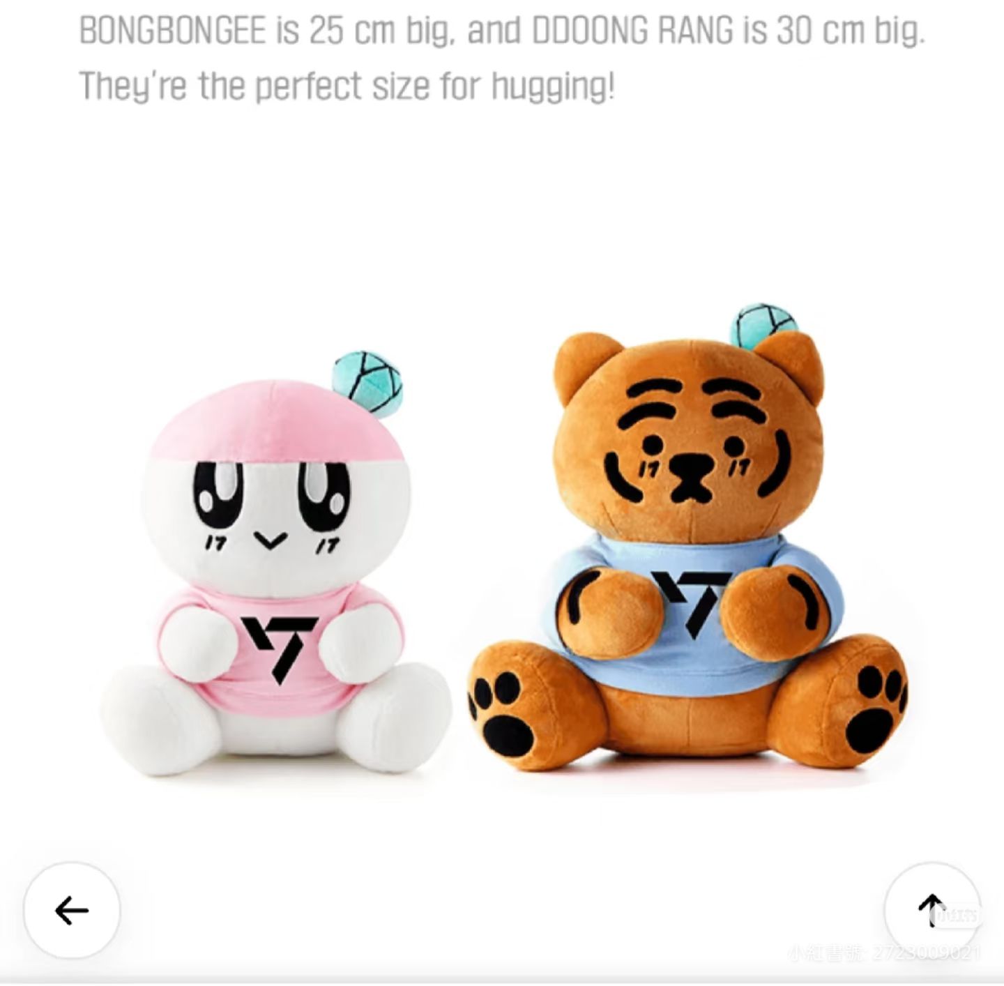 蹦蹦和肥肥虎坐姿