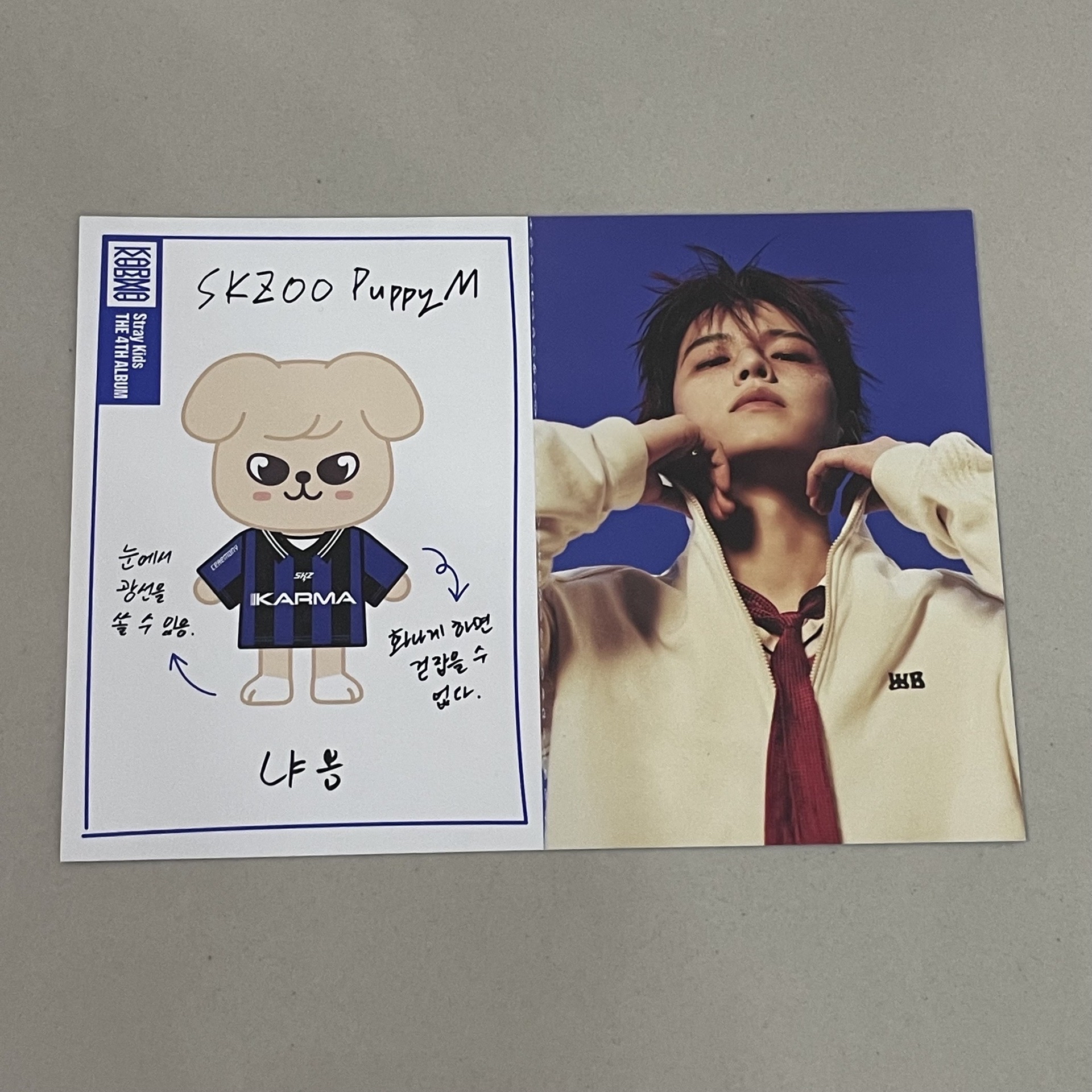 電子專身分卡 玟