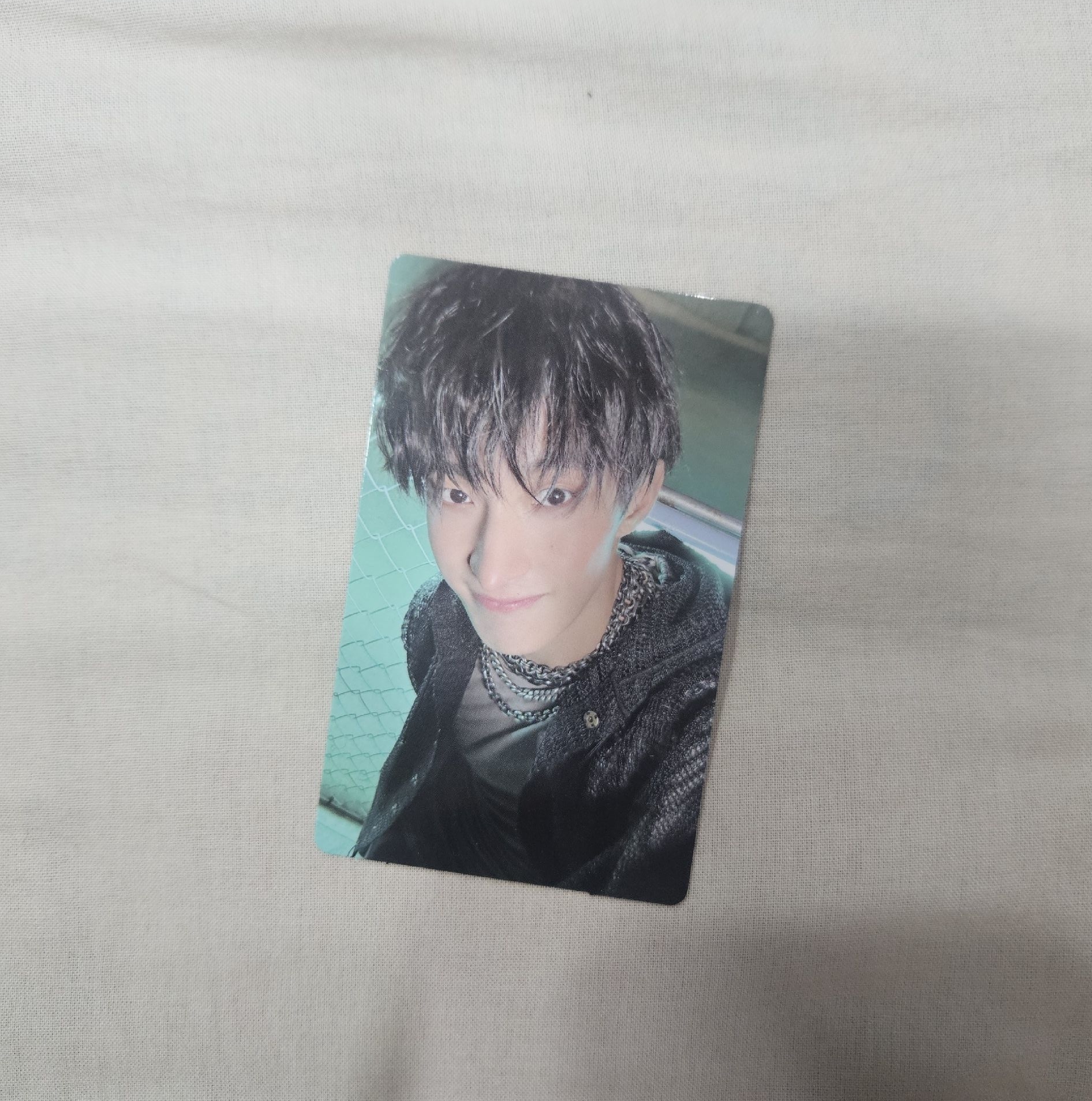 正五 WVS特典 碩🐶