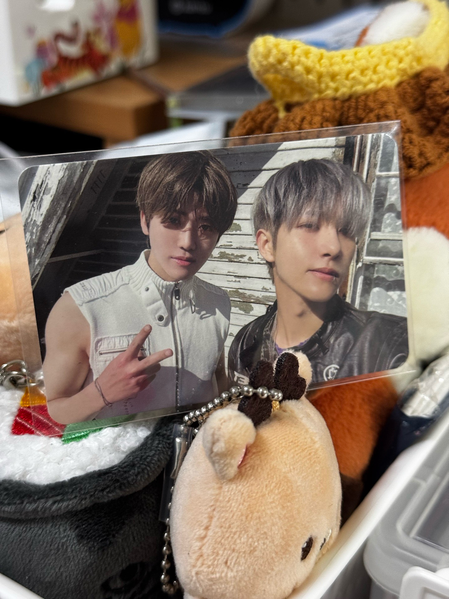 ISTJ 專輯卡 鐲雙人 專輯卡