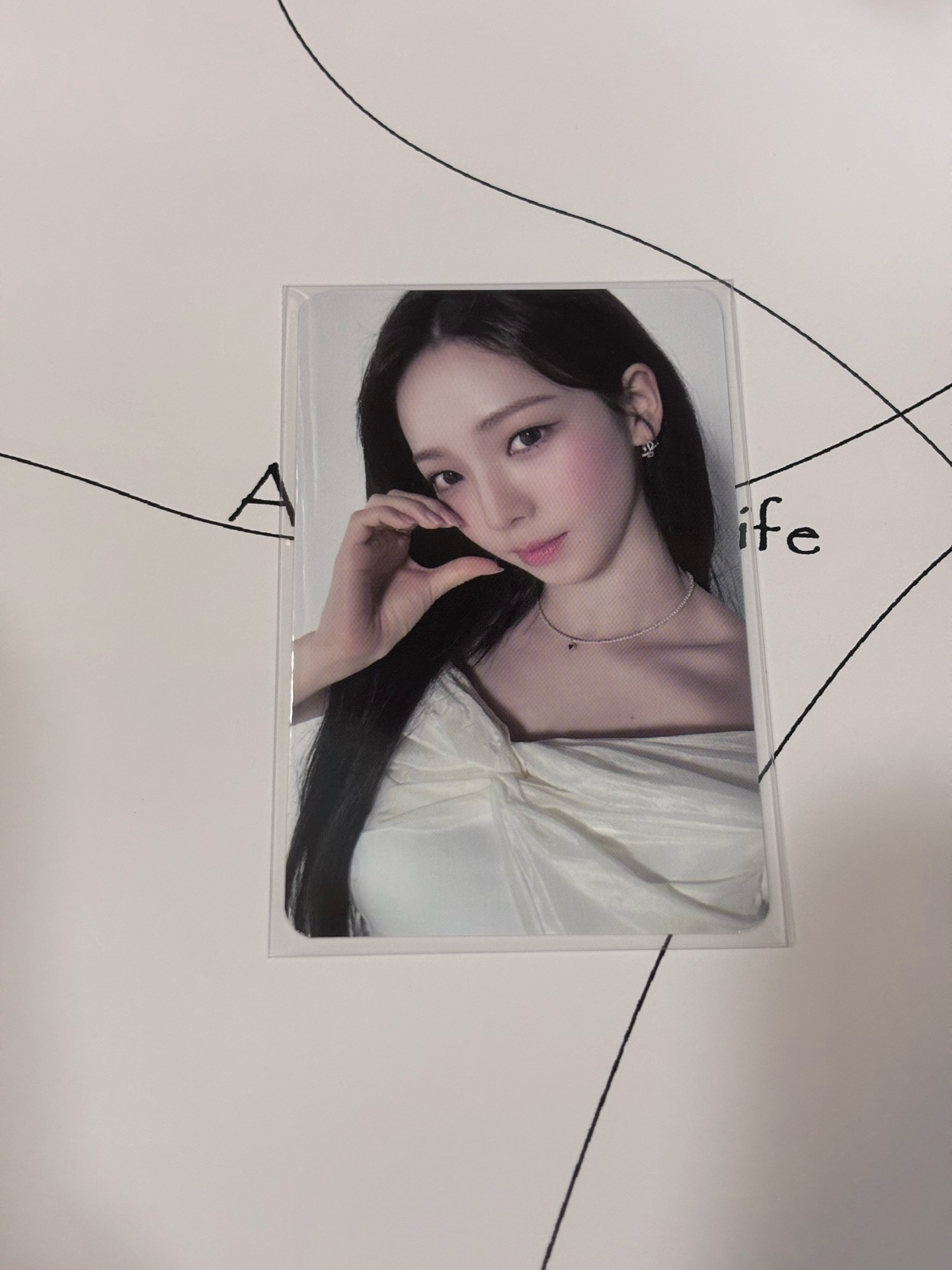 potd展會 滿額柚