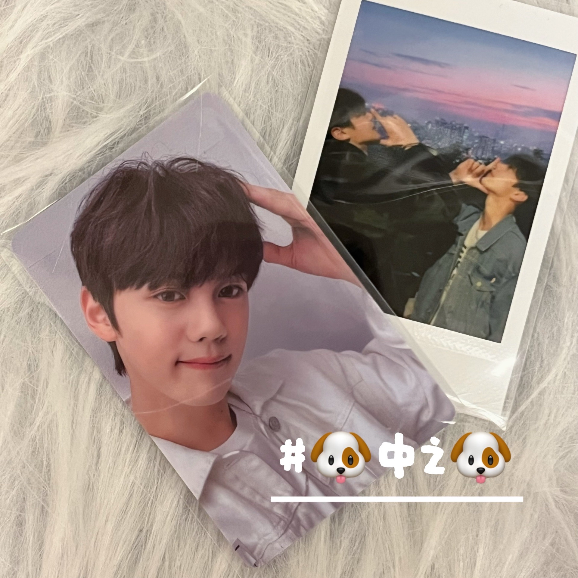 ［金奎彬］mini1 wm狗耳