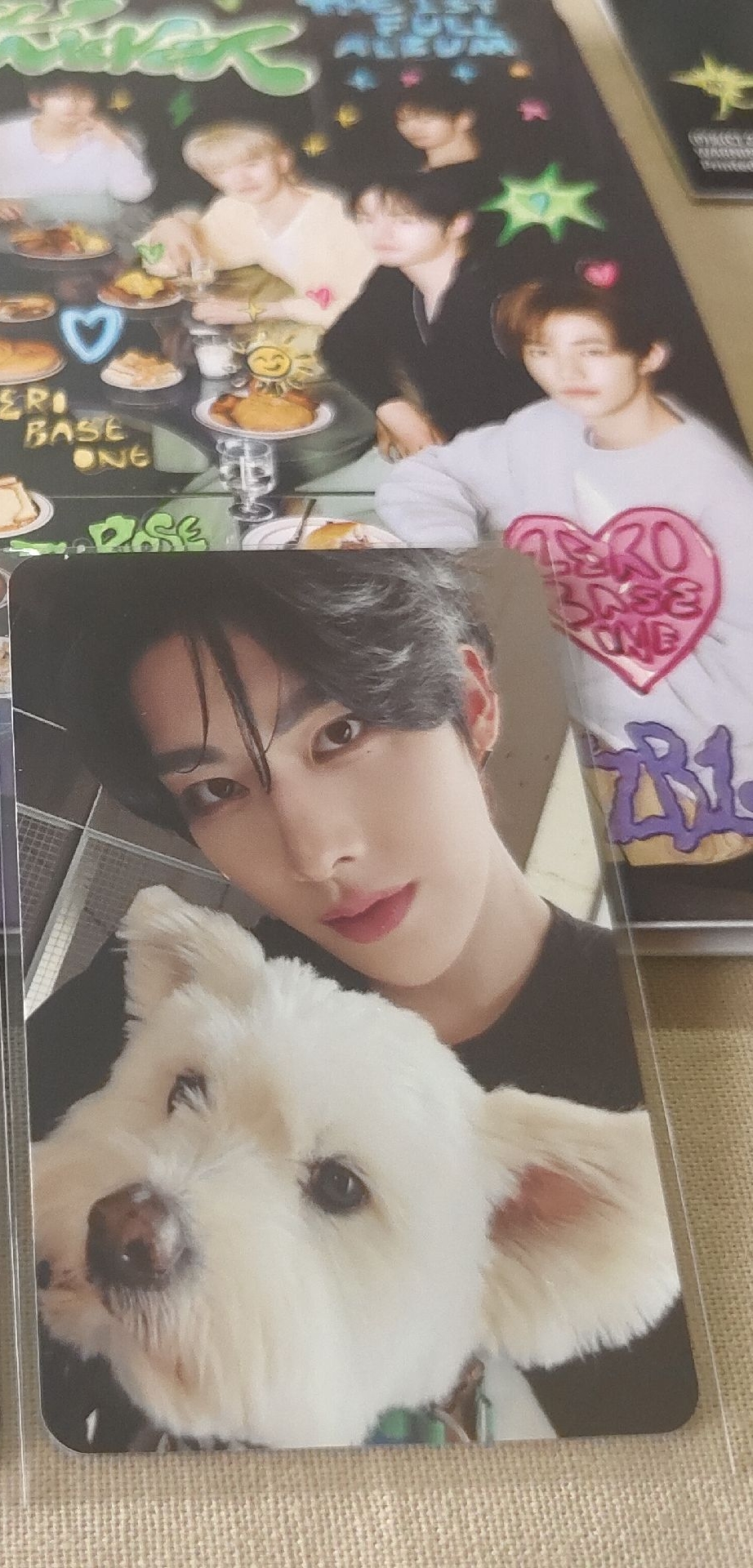 銳 正規一單封小狗卡