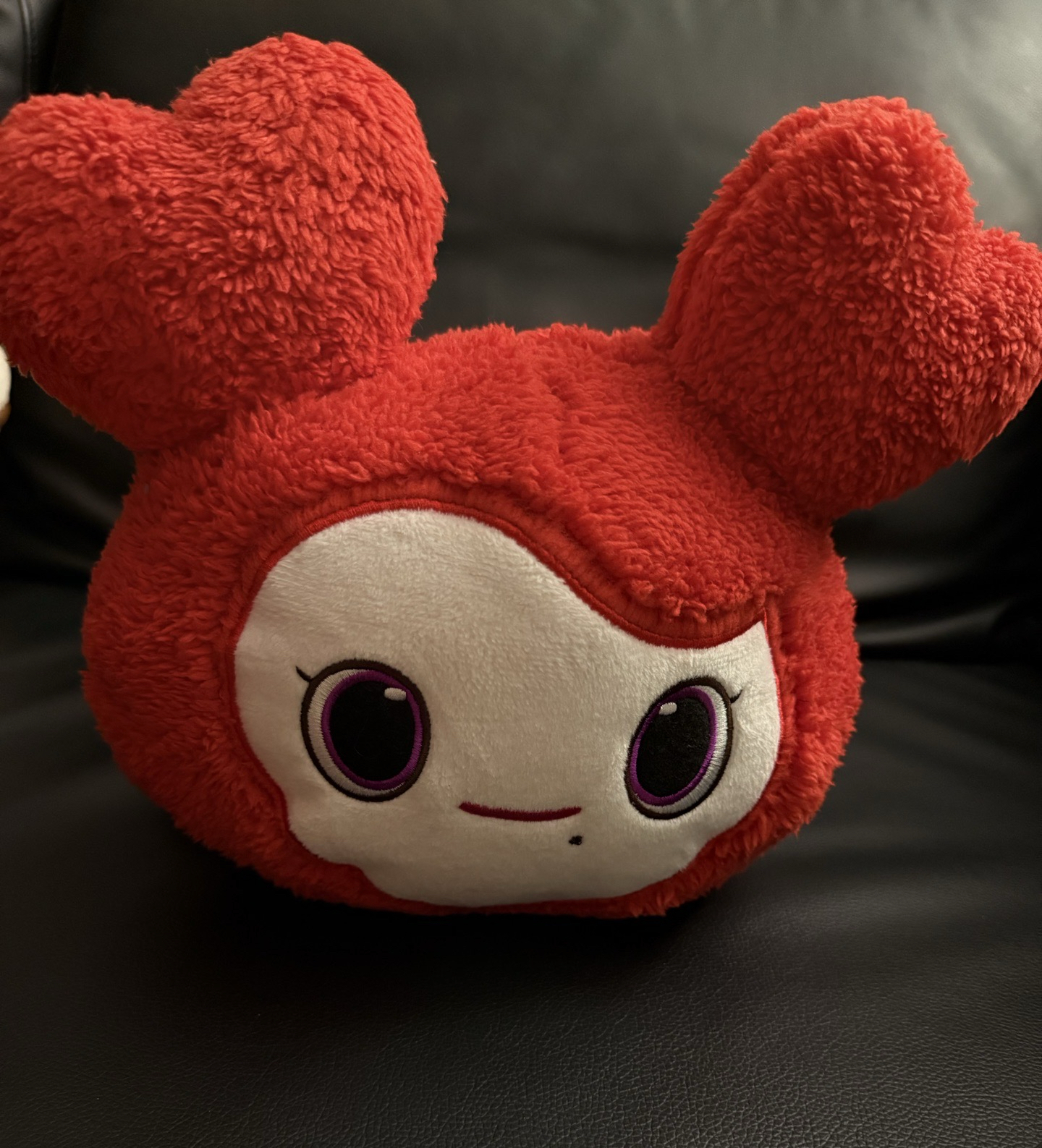 TWICE 彩瑛GIGO 30cm抱娃