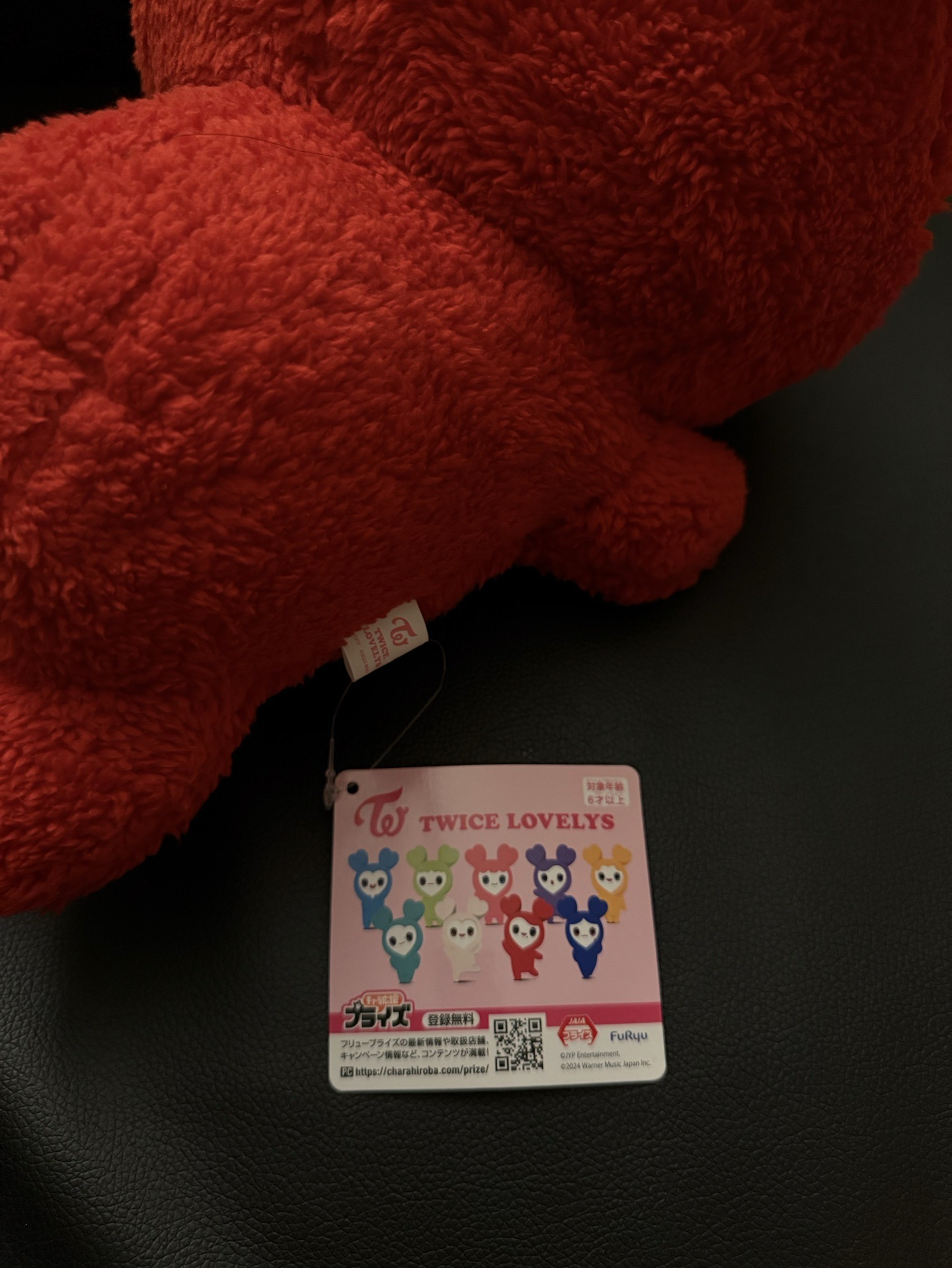 TWICE 彩瑛GIGO抱娃