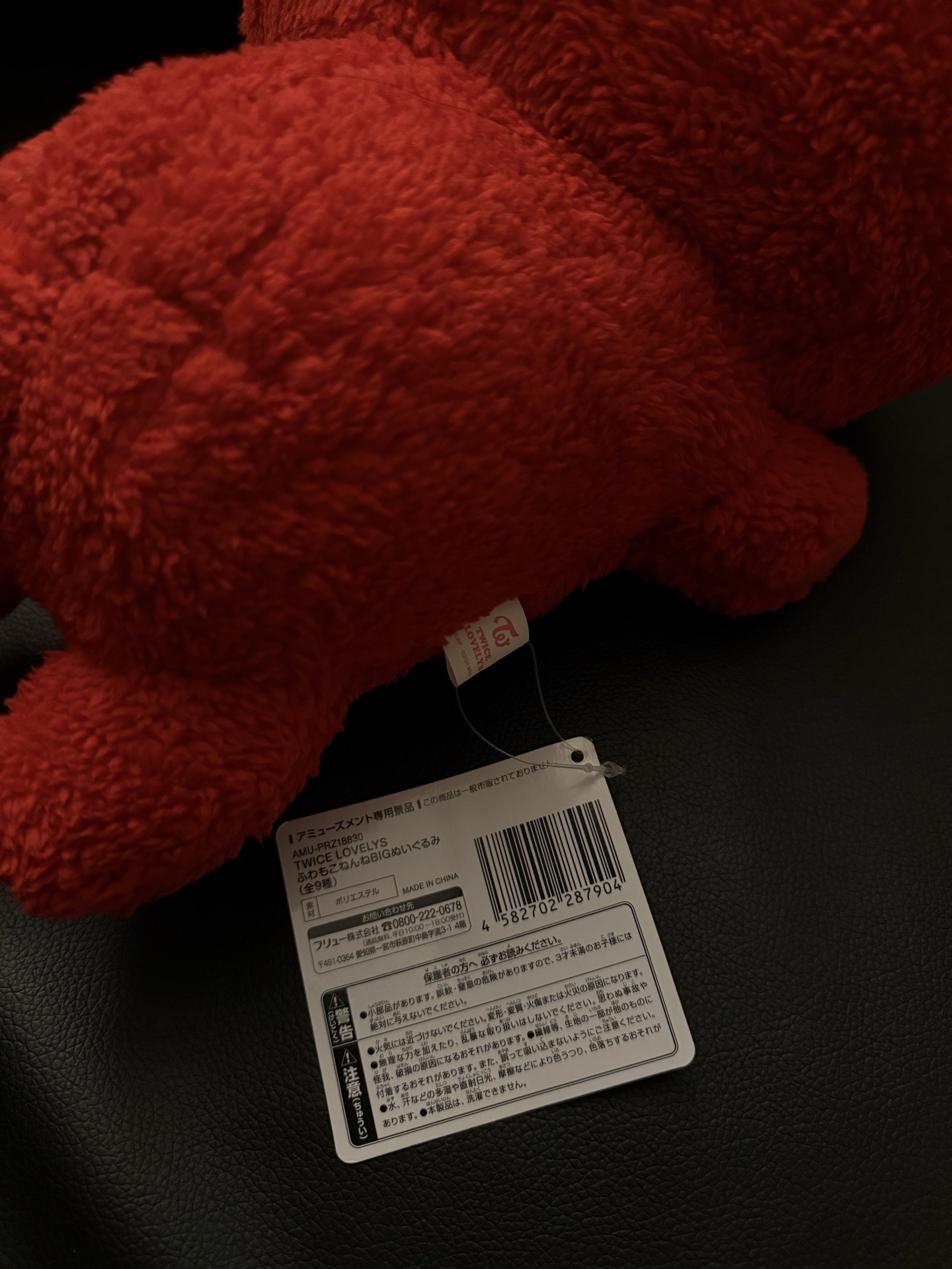 TWICE 彩瑛GIGO抱娃