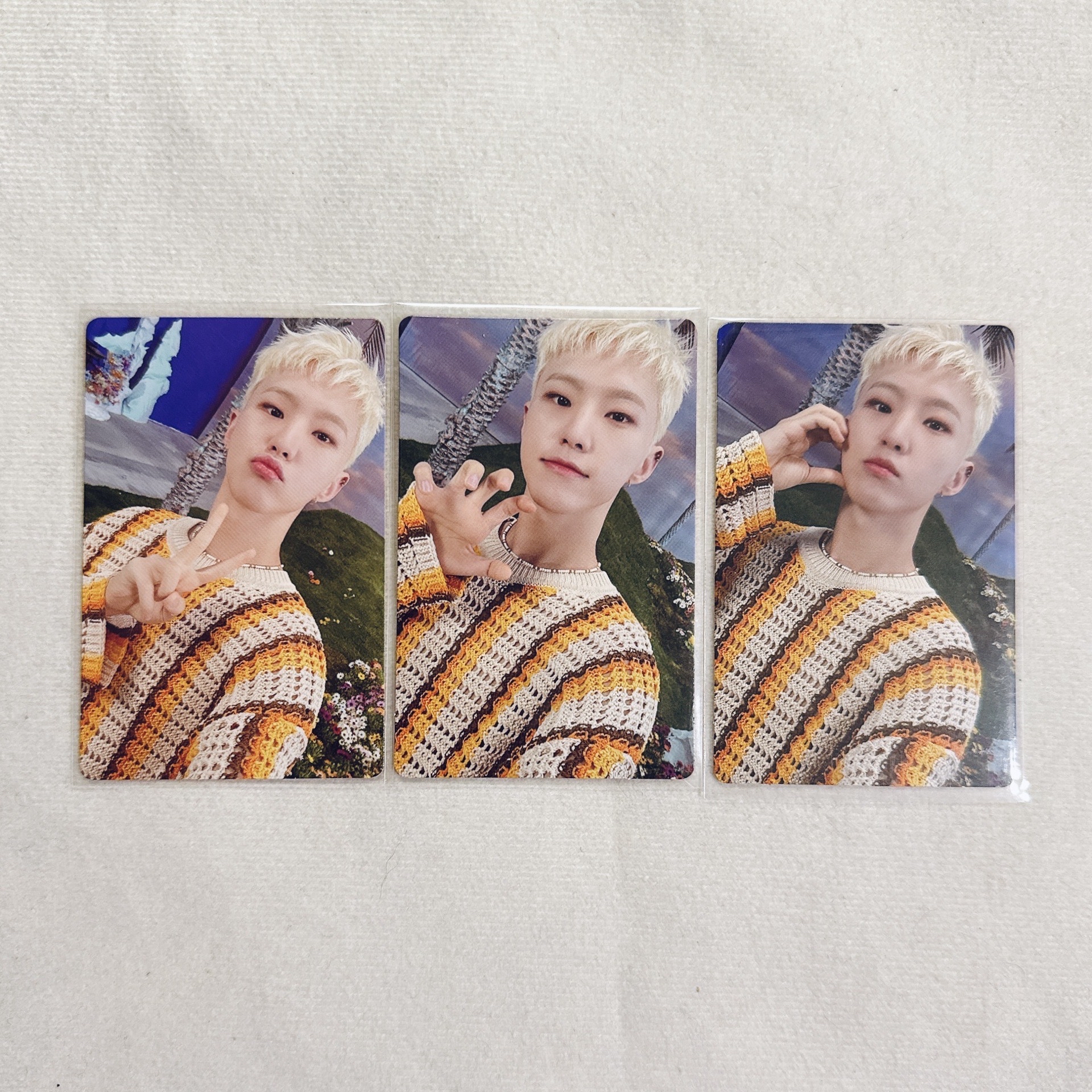 🐯正四後續 專輯卡