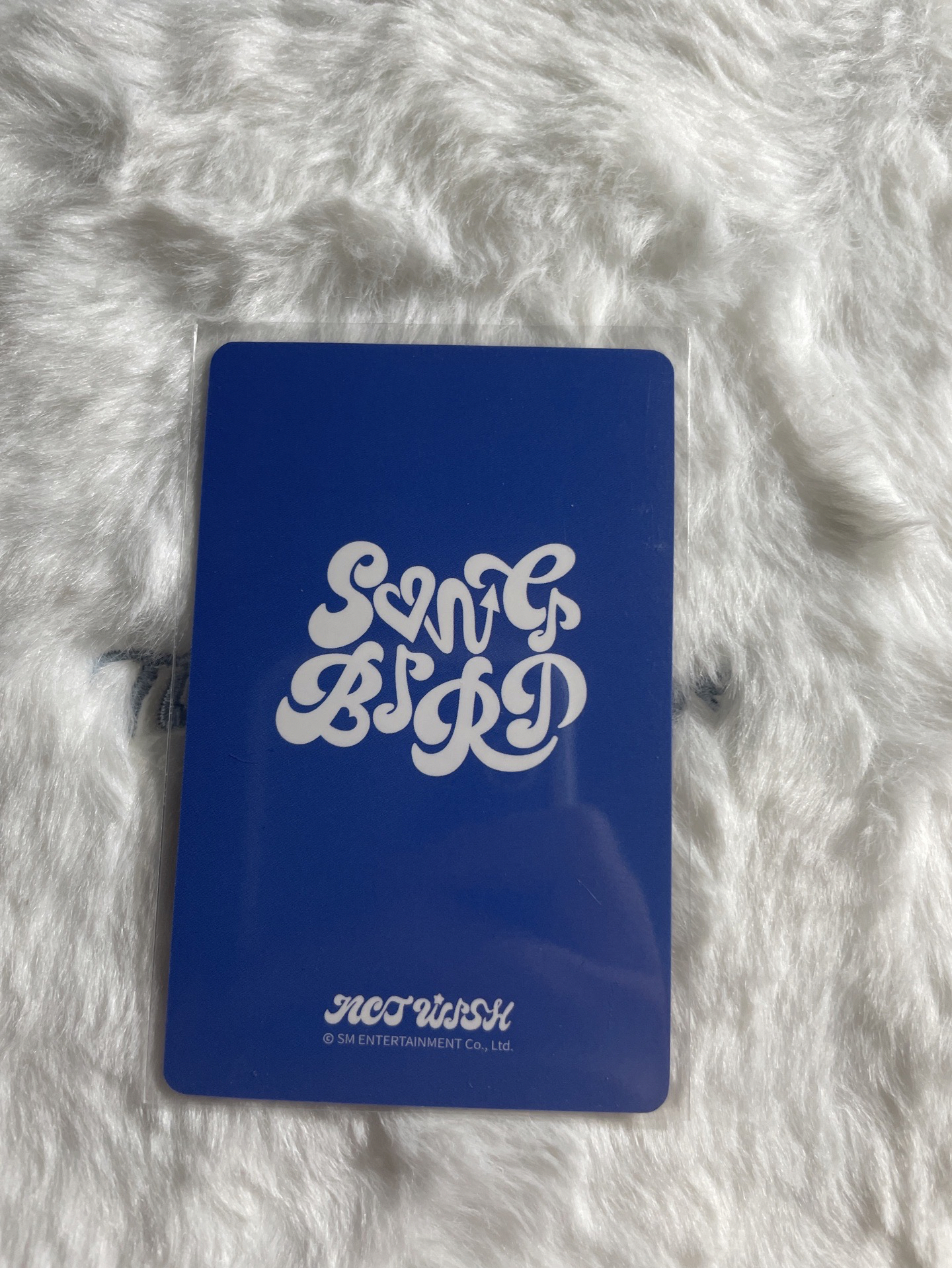 Sakuya Songbird yzy 青島day2 簽售卡 